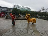 IMG_0386 (800x600) (640x480)