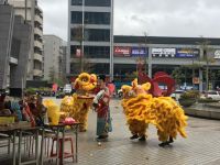 IMG_0396 (800x600) (640x480)
