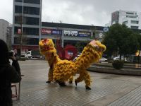 IMG_0401 (800x600) (640x480)
