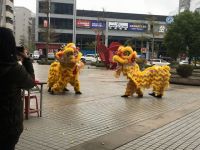 IMG_0399 (800x600) (640x480)