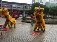 IMG_0410 (800x600) (640x480)