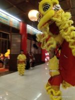 IMG_20200124_204446 (600x800)
