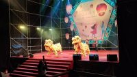 IMG_20200201_200546 (800x450)