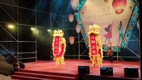 IMG_20200201_201643 (800x450)