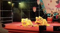 IMG_20200201_201605 (800x450)